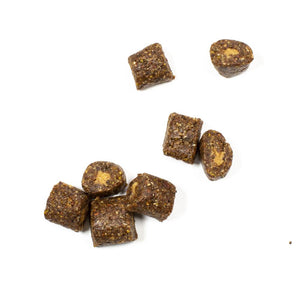 Organic Cacao Coconut Breakfast Energy Bites -Plant Based, Natural, Gluten Free, No Added Sugar, Non GMO, Kosher, Healthy Snack